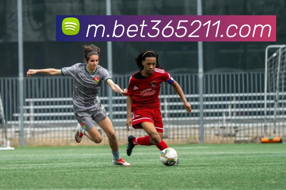 bet365中国官网APP 高清赛事图